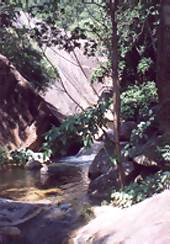 Huay Yang