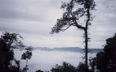 Kaeng Krachan