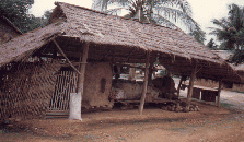Sam Roi Yod Farm