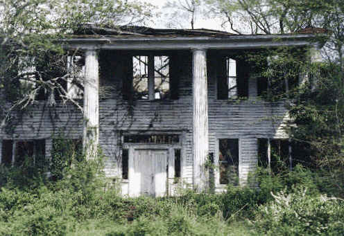 [For Rent]