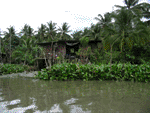 scene along the canal from Thaka