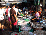 local seafood market,mahachai