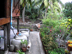 homestay,Thaka