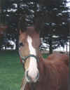 Jack at 7mo