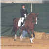 Leslie on Pacific Star at Elite Warmblood 2006