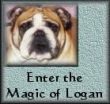 A memorial and more for a much loved bulldog.