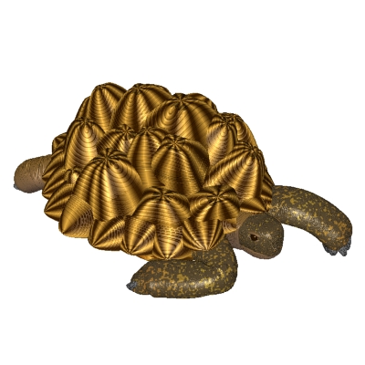 A turtle