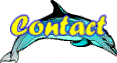 contact button