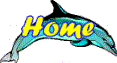 home button