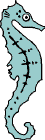 seahorse