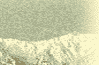 mt11.gif (1958 bytes)