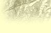 mt1.gif (1859 bytes)