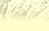 mt1.gif (1859 bytes)