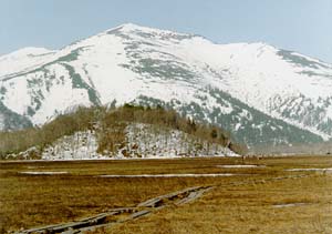 pic5.jpg (21848 bytes)