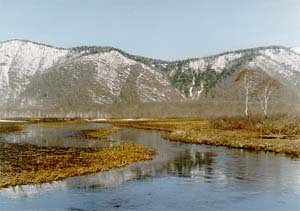 pic6.jpg (18937 bytes)