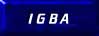 International GM B-Body Association