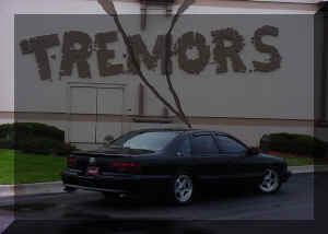 Black Chrome!  29,444 out of 41,941 '96s To Warp Off The Production Line, And Still AweSSome After 100k+ miles!!!  This shot was taken at Dreamapalooza in Livonia, Michigan on August 13, 2001.  Great SShot!!!