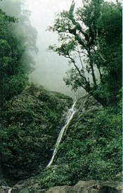 curitiba_paranagua5.jpg (17354 bytes)