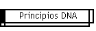 Principios DNA