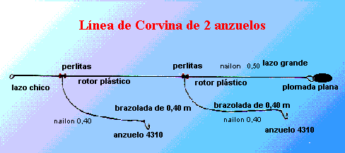 LineaCor2.gif (10136 bytes)