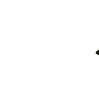 PICADA.gif (30475 bytes)