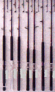 EQUIPOSCANAS.jpg (19550 bytes)