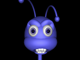 Bug