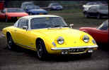 yellow.jpg (30843 bytes)
