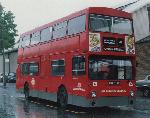 DMS 2446