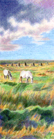 horses