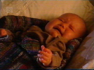 Brady s1