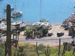 IMG_2153.JPG
