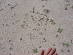 IMG_2008.JPG