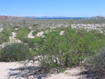 IMG_2011.JPG