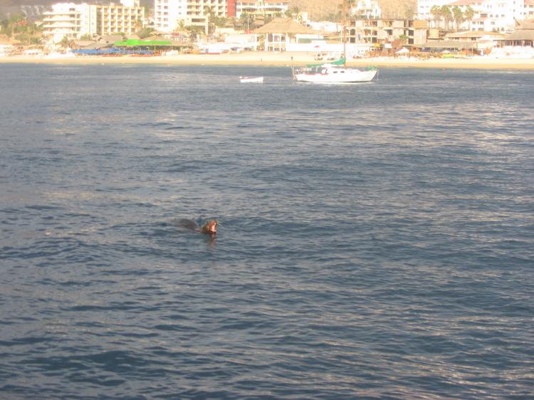 IMG_0726.JPG