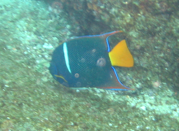 IMG_0737.JPG