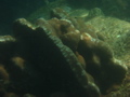 IMG_0789.JPG