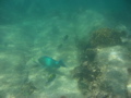 IMG_0807.JPG
