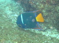 IMG_0737.JPG