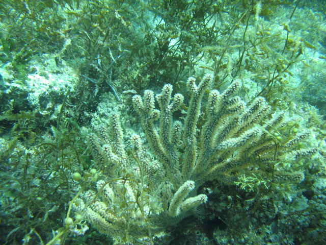 IMG_1070.JPG
