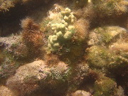 IMG_0999.JPG
