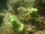 IMG_1001.JPG