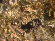 IMG_1026.JPG