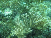 IMG_1070.JPG