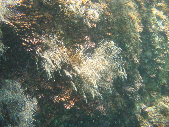 IMG_1527.JPG