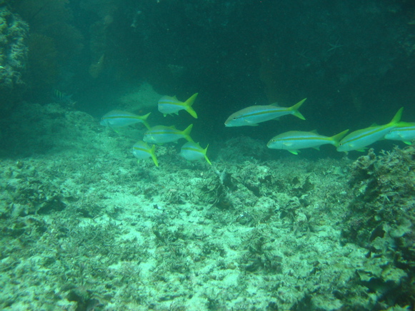 IMG_1537.JPG