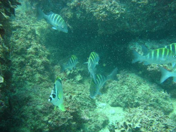 IMG_1543.JPG