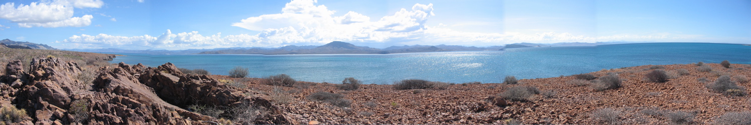Concepcion