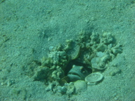 IMG_1715.JPG