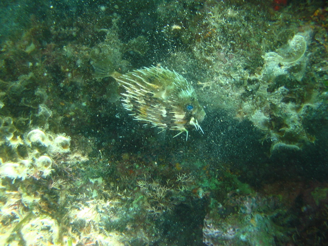 IMG_1222.JPG
